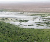 Amboseli National Park, Kenya