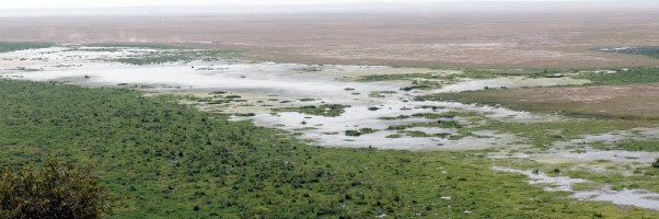Amboseli National Park, Kenya